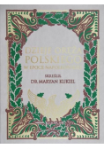 Dzieje oręża polskiego w epoce napoleońskiej