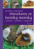 Mieszkamy ze świnką morską
