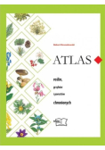 Atlas roślin grzybów i porostów chronionych