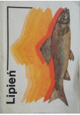 Lipień