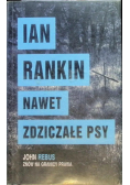 Nawet zdziczałe psy