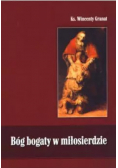 Bóg bogaty w miłosierdzie