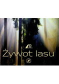 Żywot lasu