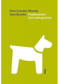 Projektowanie ikon i piktogramów