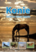 Konie