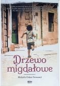 Drzewo migdałowe