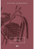 Tutaj