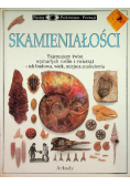 Skamieniałości Patrzę podziwiam poznaję