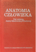 Anatomia człowieka
