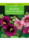 Rośliny łatwe do uprawy