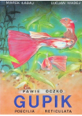 Pawie oczko gupik