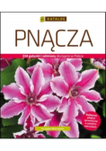 Katolog Pnącza
