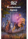 Przebudzenie legendy