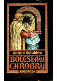 Bolesław Chrobry Tom V Rozdroża
