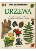 Drzewa