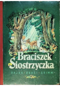 Braciszek Siostrzyczka
