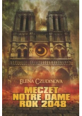 Meczet Notre Dame 2048