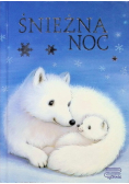Śnieżna noc