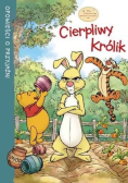 Cierpliwy królik