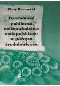 Działalność publiczna możnowładztwa małopolskiego w późnym średniowieczu