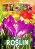 Atlas roślin 200 polskich gatunków