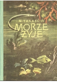 Morze żyje