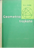 Geometra trójkąta