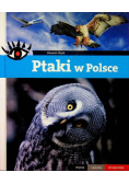 Ptaki w Polsce