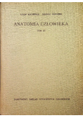 Anatomia człowieka Tom III
