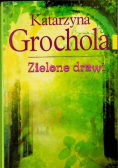 Zielone drzwi broszura