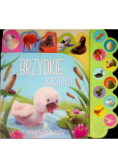 10 bajkowych dźwięków Brzydkie kaczątko