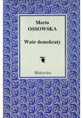 Wzór demokraty