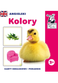 Kapitan Nauka Angielskiego  Kolory. Karty obraz.+ poradnik