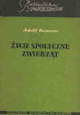 Życie społeczne zwierząt
