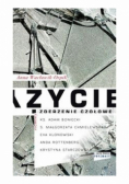 Życie zderzenie czołowe