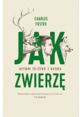 Jak zwierzę