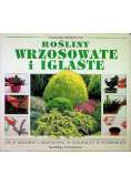 Rośliny wrzosowate i iglaste