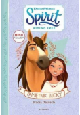 Spirit Riding Free Pamiętnik Lucky