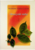 Okruszynki nieba