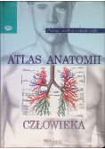 Atlas anatomii człowieka