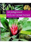 Jak pielęgnować rośliny doniczkowe