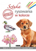 Sztuka rysowania w kolorze