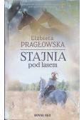Stajnia pod lasem