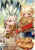 Dr Stone. Tom 11