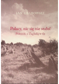 Polacy, nic się nie stało Polemiki z Zagładą w tle