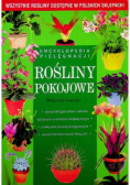 Rośliny pokojowe