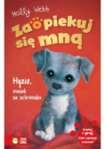 Zaopiekuj się mną Hyzio piesek ze schroniska