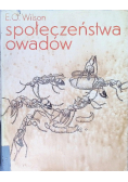 Społeczeństwa owadów