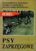 Hobby psy zaprzęgowe