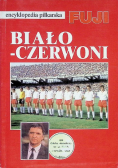 Encyklopedia piłkarska Fuji rocznik 94-95
